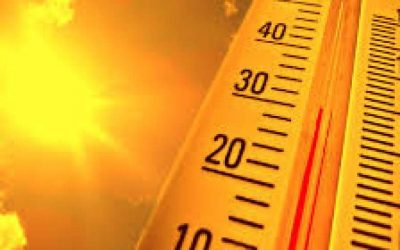 What is it like to work in a kitchen over the height of summer?